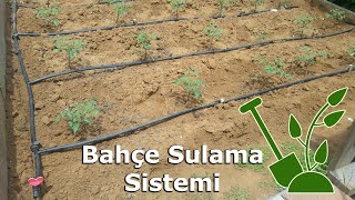 Pratik bahçe damla sulama sistemi kurulumu - Garden irrigation system | DIY #garden