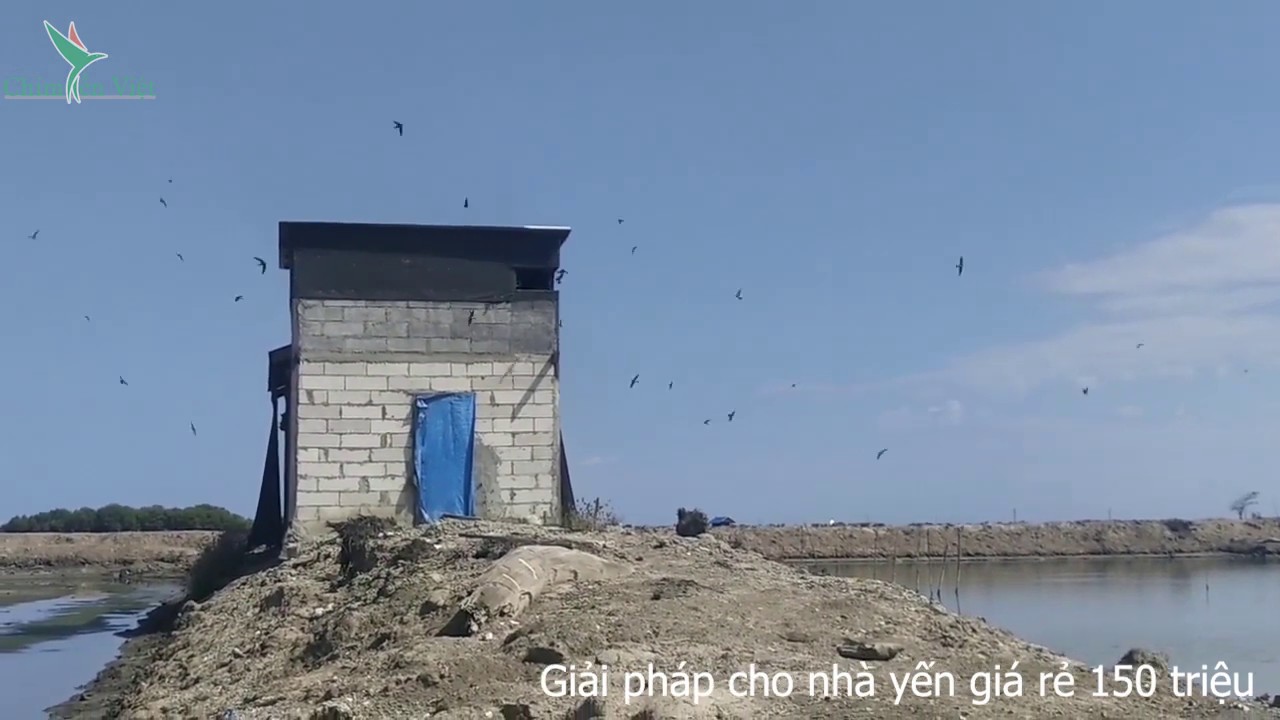 Nuôi Tôm kết hợp yến | Giải pháp nhà yến giá rẻ 150 triệu | Từ bản vẽ và việc triển khai xây dựng