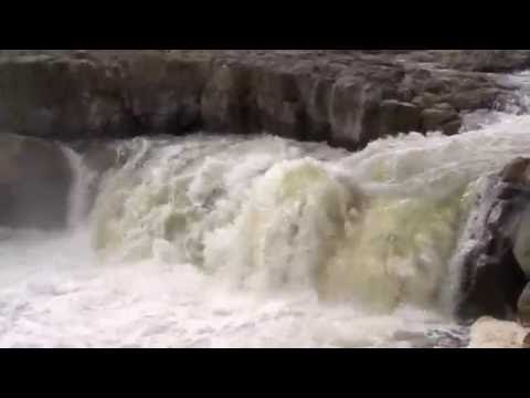 Yawal Wildlife Sanctuary video