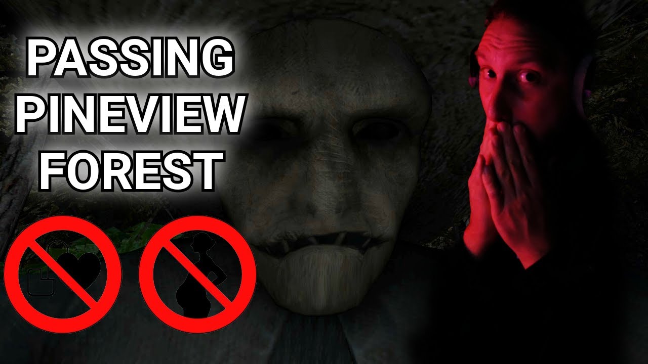 Jeu d'horreur #1: On traverse Pineview Forest !