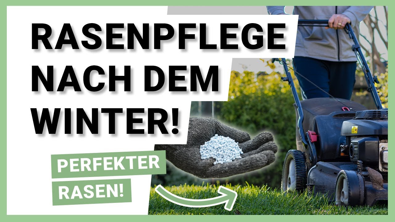 Rasenpflege nach dem Winter So funktioniert es! YouTube