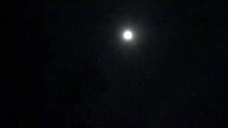 Jupiter, The Moon and Spring Peepers