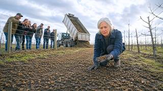 She Covered Her Dying Orchard With 42,000 Factory-Waste Bees—Then Her Dying Trees Bloomed Early