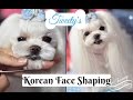 KOREAN GROOMING: Tweety's Korean Face Korean Cut~How to Trim Maltese Face 말티즈미용 Music by Emma Lee트위티