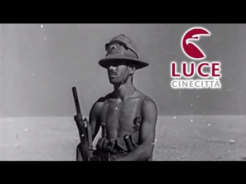 Video: Studio - Luce