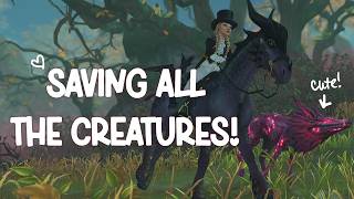 Saving All The Creatures | Star Stable Online 🏰🧙‍♀️