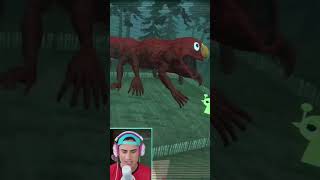 USEI O DRONE PARA VER O ELMO ESTICADO E O SONIC TAPES!!