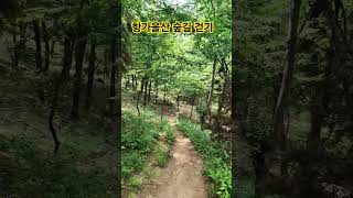 항가울산 숲길 걷기 #맨발걷기 #걷기전문가 #건강한중년 #혈액순환 #nature #우리동네건강왕 #asmr