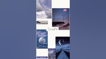 سورة الأنبياء💜 بصوت القارئ إسلام صبحي  الآيات (٨٩-٩٠)