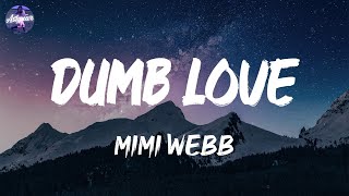 Mimi Webb - Dumb Love (Lyrics)