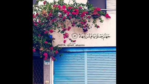القارئ حمزه الفار