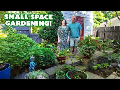 Amazing Landscape Designers Small Space Garden - Townhouse Landscape Design