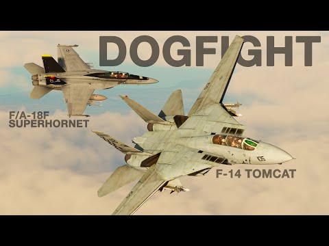 F-14 Tomcat Vs F/A-18F Superhornet Dogfight | Digital Combat Simulator | DCS |