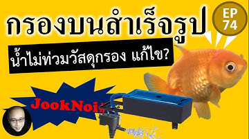 ระบบกรองบน สำเร็จรูป SOBO น้ำไม่ท่วมวัสดุกรอง แก้ไขอย่างไร #goldfish #ปลาทอง EP74