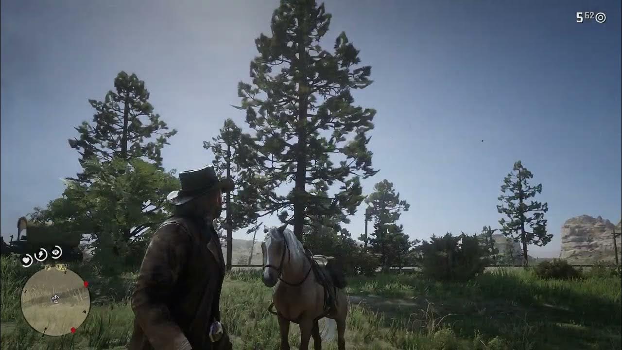 RDR2 Poop in the air. YouTube