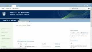 Delete a Permission Level in SharePoint 2010