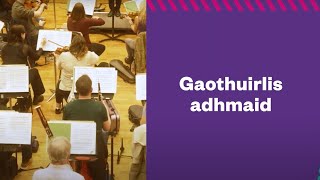 RTÉ Concert Orchestra | Focal an lae | Gaothuirlis adhmaid
