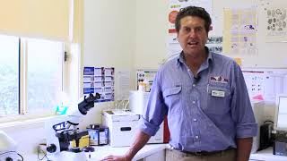 Yass Valley Veterinary Yass Hospital Tour