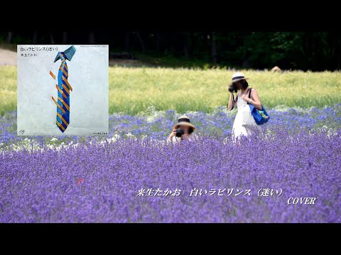 白いラビリンス（迷い）／来生たかおVer.   精密採点DXⅡで74点!! エコー切って歌ったてみた　cover