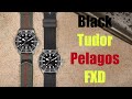 First Thoughts: Black Tudor Pelagos FXD