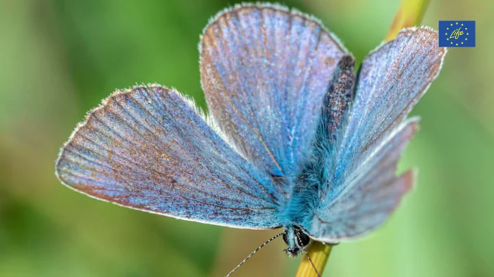 LIFE: Ecological restoration and climate change mitigation