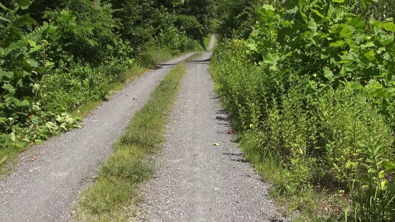 Black Creek Preserve in Esopus, NY Walking unpaved road ASMR YouTube