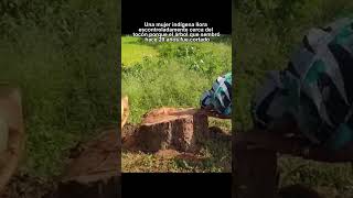 Momento Desgarrador historias Que No Deberan Ignorarse shorts