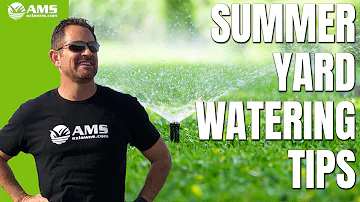 Summer Yard Watering Tips When It's 120 Degrees in Phoenix!