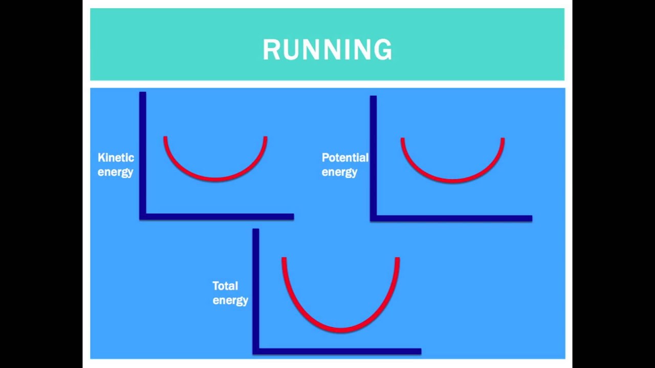 Biomechanics of Running vs. Walking - YouTube