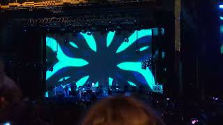 John Cale {performs} "Night Crawling" Intro | 08.19.23