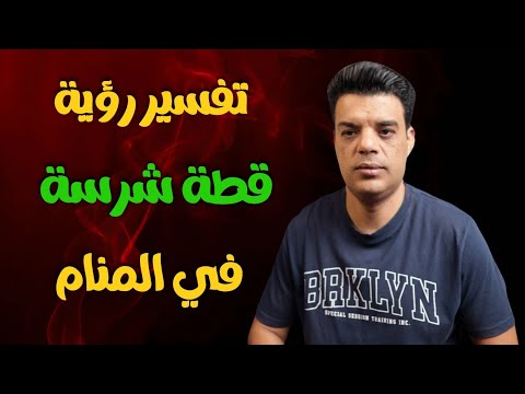 تفسير رؤية قطة شرسة في المنام تفسير حلم القطة الشرسة 