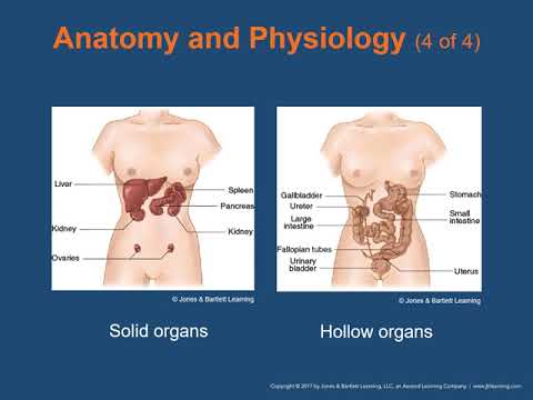 Ch 18 Gastrointestinal and Urologic Emergencies