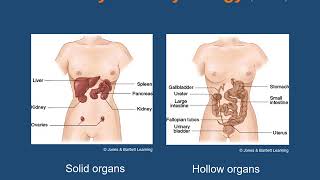 Ch  18  Gastrointestinal and Urologic Emergencies