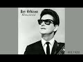 Roy Orbison Amy Remastered By RS 2023 mp3