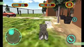 Обзор - Cat Simulator 3D - для Андроид screenshot 1