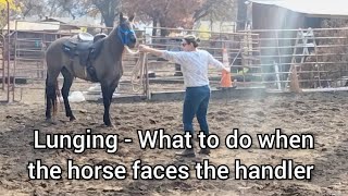 Lunging A Horse That Wants To Face You - Driving The Horse Forward With Correct Body Position