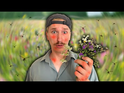 Video: Mitä tehdä pionille, joka ei kukki