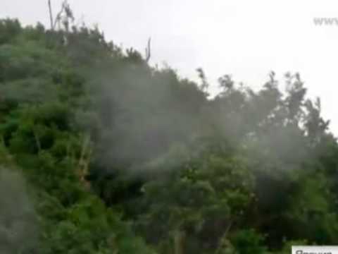 იაპონიას ტაიფუნი უახლოვდება