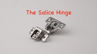 The Salice Hinge (specs and features)