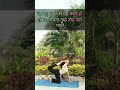 #yogapractice#yogaforbeginners #viral#trending#dailyshorts#ytshorts#bodybuilding#fitnessmotivation