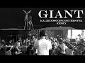 Giant - Kaleidoscope Orchestra Remix [Calvin Harris, Rag 'n' Bone Man]