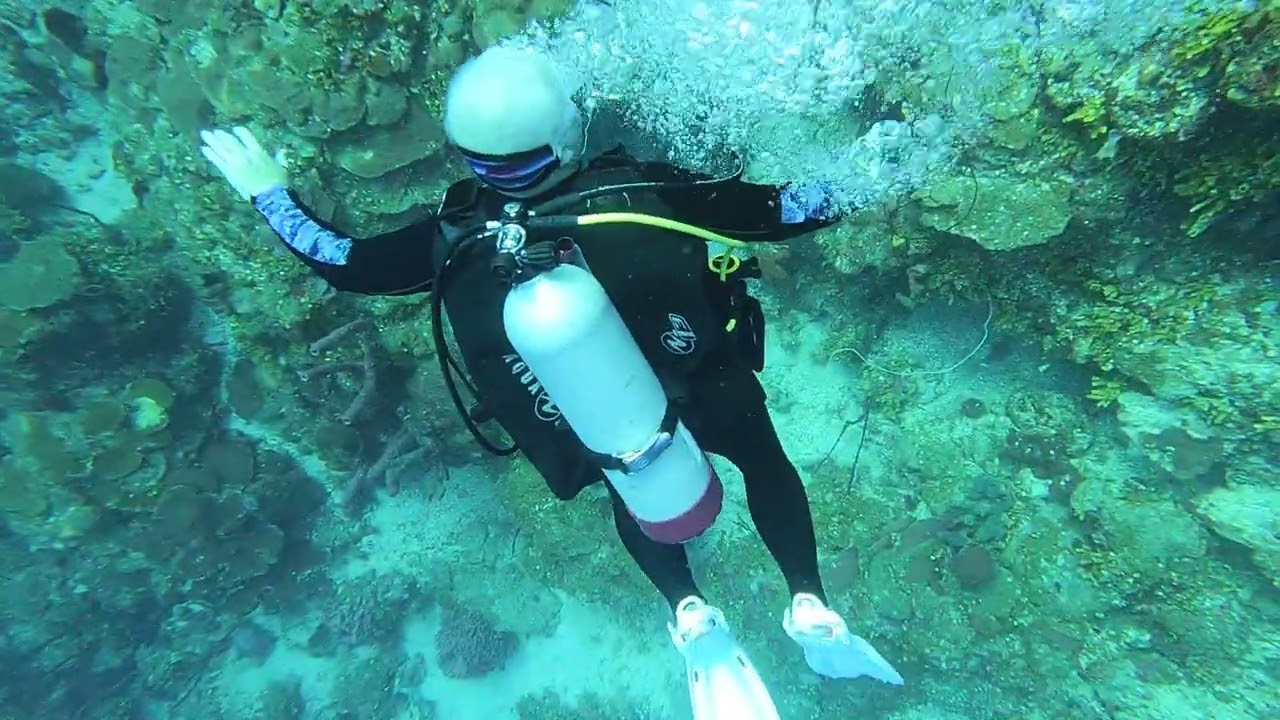 2025 01 16 1145 D R  Catalina Island dive