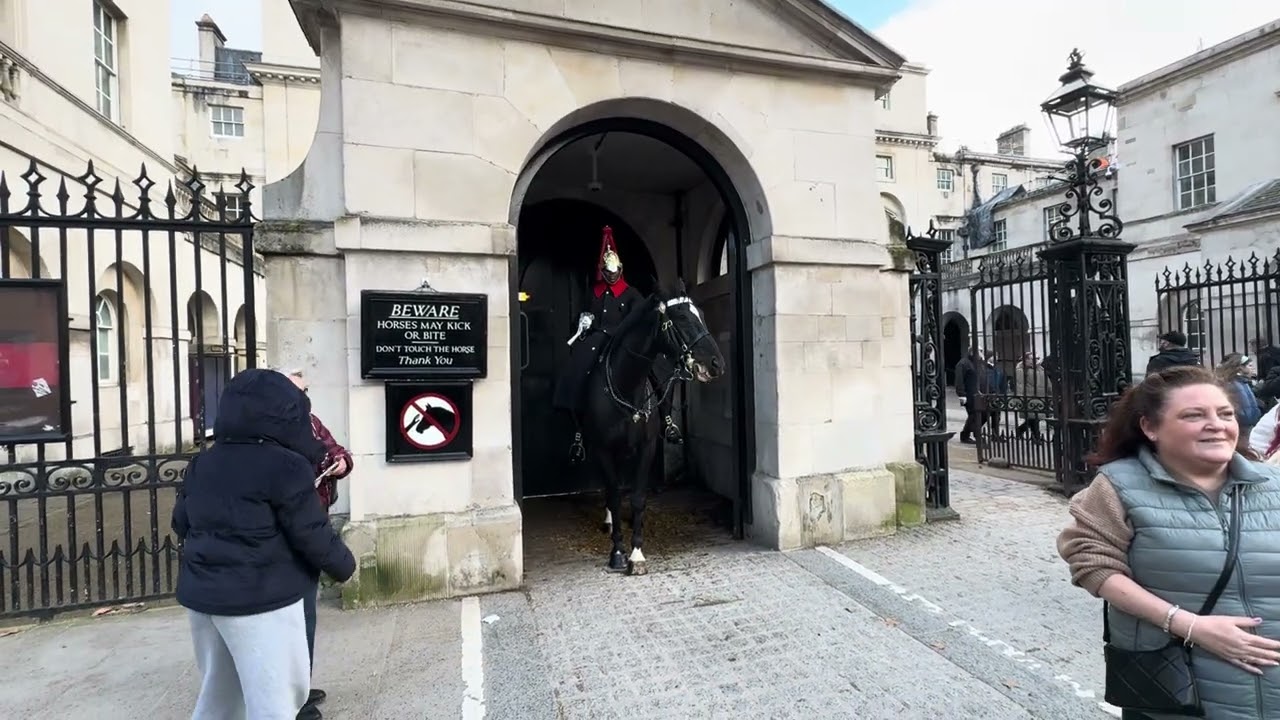SHOCKING! Tourists Cross the White Line King’s Guard Stays Silent 😂