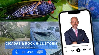 The truth about cicadas & Rock Hill hail storm [Ep. 490]