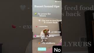 Basset hound tips @ALASKIANS