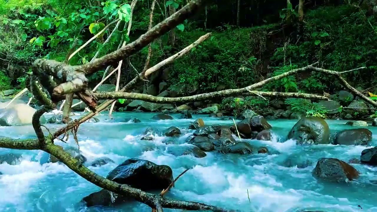 Tranquil River Sounds & Cozy Ambience for Relax and Stress Relief
