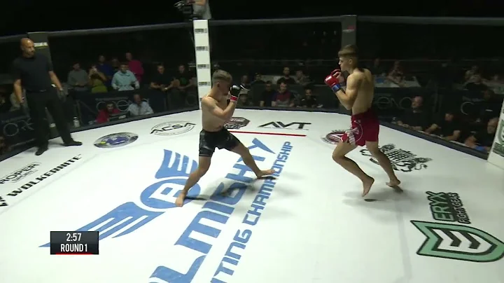 Almighty Fighting Championship 27 - Harry Edwards ...