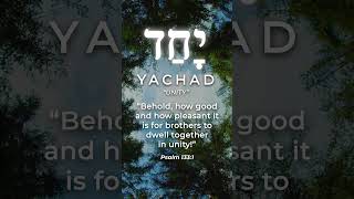 Hebrew Word of the Week: Yachad