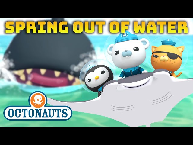 ​@Octonauts - 🌼 SPRING out of Water! 💦 | Compilation | @OctonautsandFriends class=