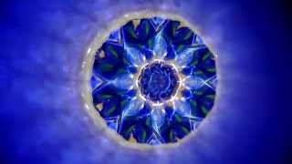 有田焼万華鏡】染錦籠菊